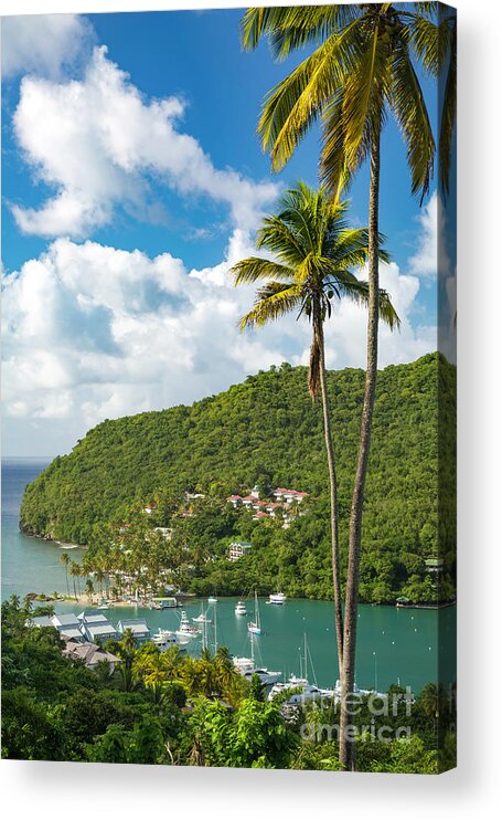 Saint Lucia Acrylic Print featuring the photograph St Lucia - Marigot Bay II by Brian Jannsen