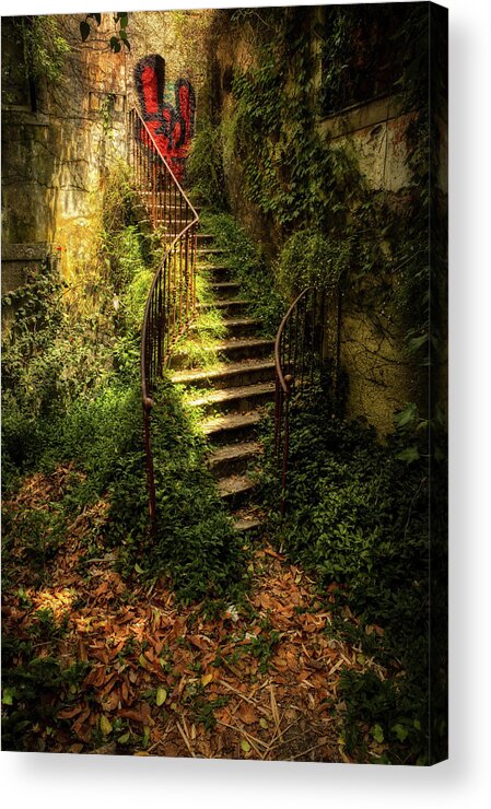 In The Shadow Acrylic Print featuring the photograph Stairway to nowhere by Micah Offman
