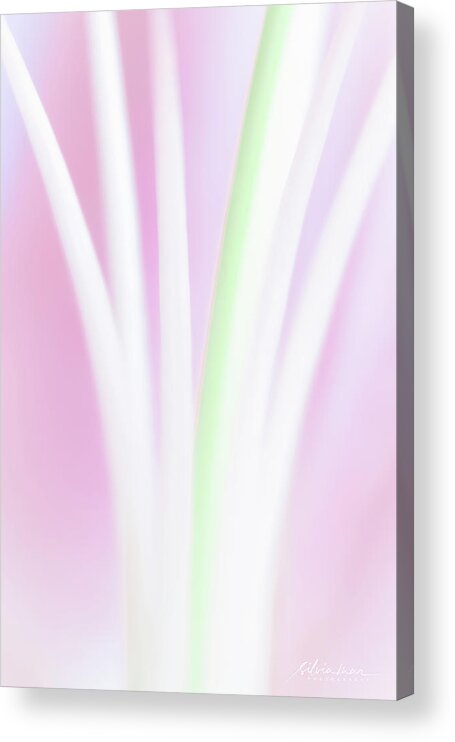 Color Acrylic Print featuring the photograph Stems by Silvia Marcoschamer