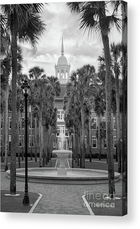 Stetson University Acrylic Print featuring the photograph Stetson University Palm Court Fountain by University Icons