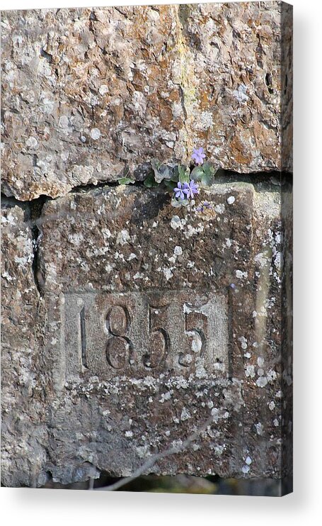 1855 Acrylic Print featuring the photograph Still standing by Yvonne M Smith