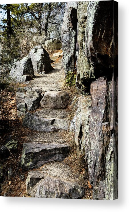 Trail Acrylic Print featuring the photograph Stone Steps on Trail by Craig A Walker