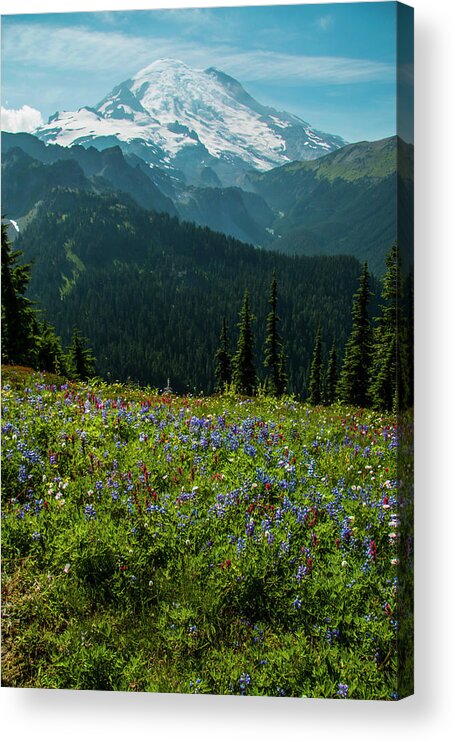 Mount Rainier National Park Acrylic Print featuring the photograph Stunning View - Portrait by Doug Scrima