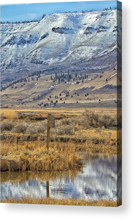 Oregon Acrylic Print featuring the photograph Summer Lake Reflection by Tom Kelly