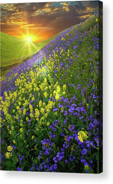Superbloom Acrylic Print featuring the photograph Sunrise Over the Temblors by Lynn Bauer