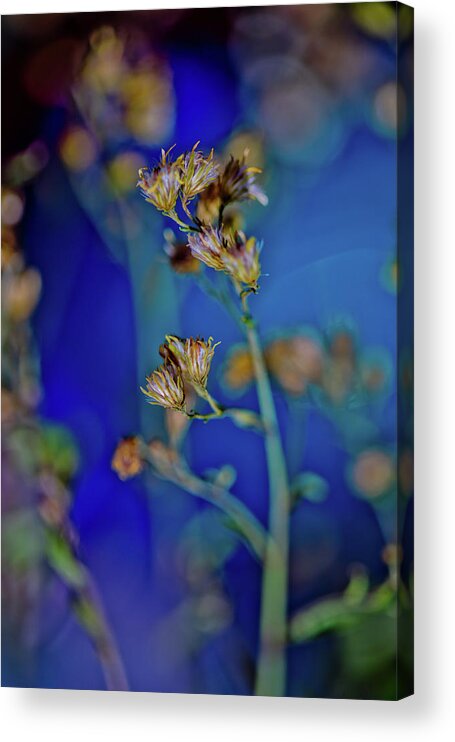 Abstract Flower Photograph Acrylic Print featuring the photograph Sway With Me by Az Jackson