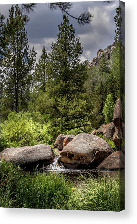  Acrylic Print featuring the photograph Swimming Hole by Laura Terriere