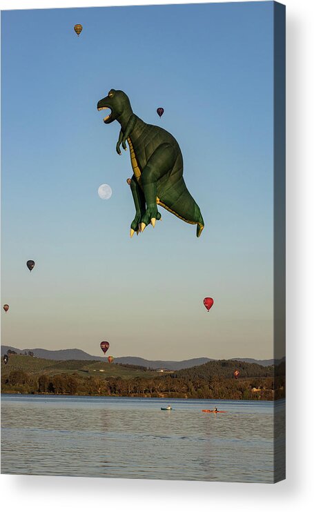 Canberra Acrylic Print featuring the photograph T-Rex by Ari Rex