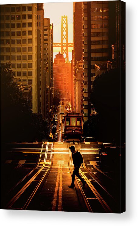  Acrylic Print featuring the photograph Taking a Stroll by Louis Raphael