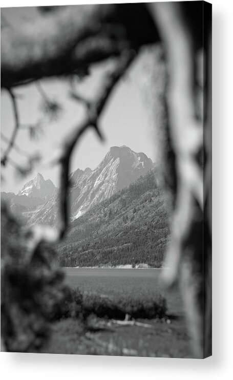 Mountain Acrylic Print featuring the photograph Teton in the Black and White by Go and Flow Photos