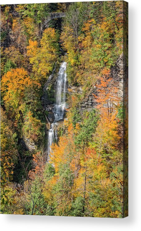 Letchworth State Park Acrylic Print featuring the photograph The Autumn Colors Of Letchworth State Park by Jim Vallee