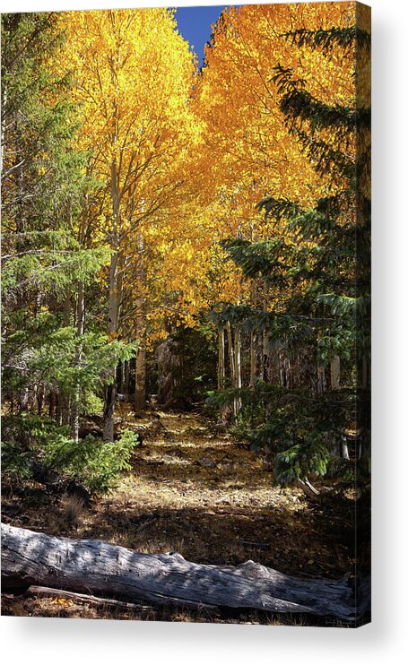 Art Acrylic Print featuring the photograph The Beckoning by Rick Furmanek