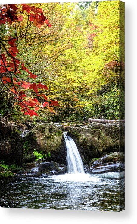 Carolina Acrylic Print featuring the photograph The Colors of Fall at the Waterfall by Debra and Dave Vanderlaan