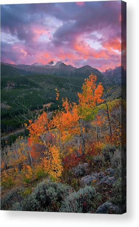 Longs Acrylic Print featuring the photograph The End of Autumn - Rocky Mountain National Park by Aaron Spong