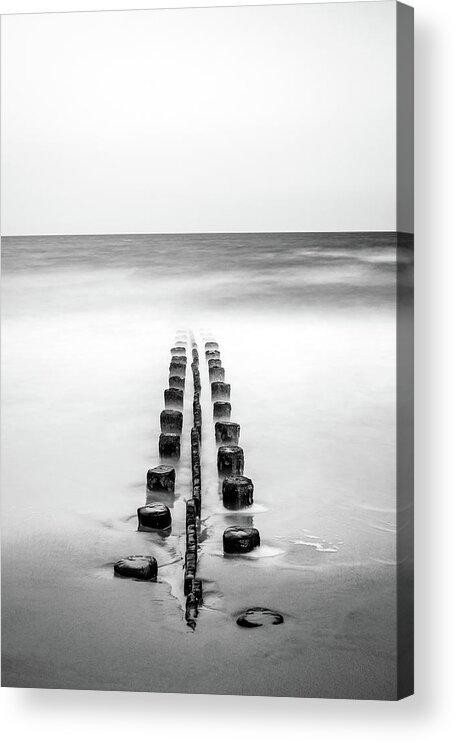 Black And White Acrylic Print featuring the photograph The Guide by Robert Mintzes
