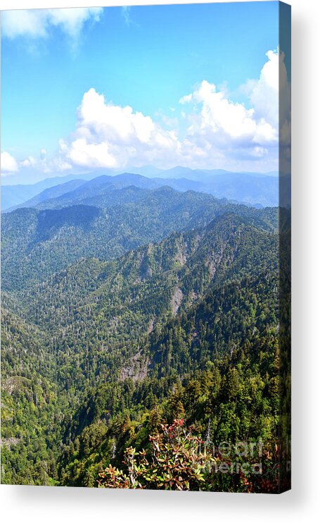 Smoky Mountains Acrylic Print featuring the photograph The Jump Off 1 by Phil Perkins