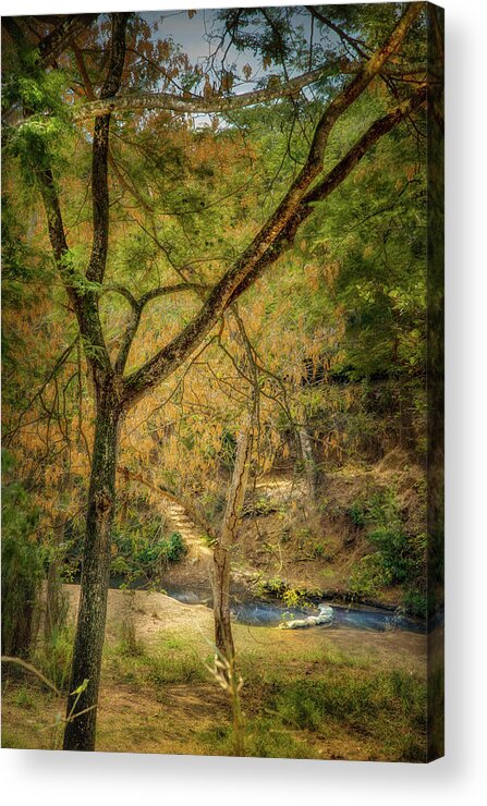 Ford Acrylic Print featuring the photograph The passing on the Mabay river near Veguitas by Micah Offman