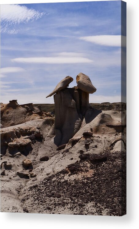 Bisti Acrylic Print featuring the photograph The Sentinel by Segura Shaw Photography