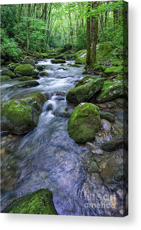 Smoky Mountains Acrylic Print featuring the photograph Thunderhead Prong 17 by Phil Perkins
