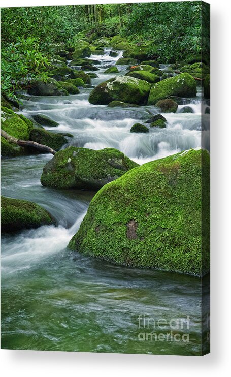 Smoky Mountains Acrylic Print featuring the photograph Thunderhead Prong 18 by Phil Perkins