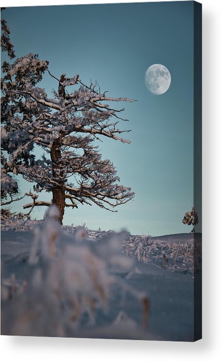 Landscape Acrylic Print featuring the photograph To the moon by Thomas Nay