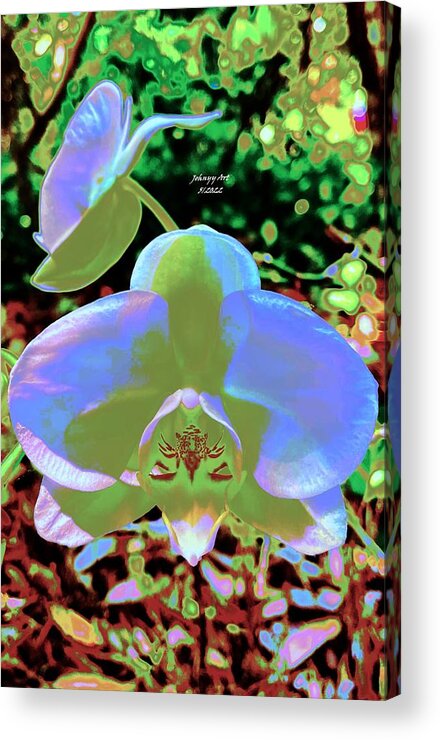 Flowers Acrylic Print featuring the photograph Todays Orchids in Blue by John Anderson