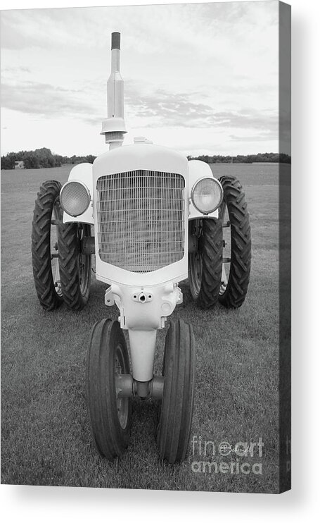 Tractor Acrylic Print featuring the photograph Tractor Looking at You by E B Schmidt