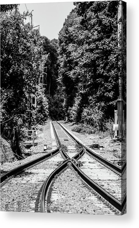 Train Tracks Rr Rail Road B&w Trees Acrylic Print featuring the photograph Train Tracks1 by John Linnemeyer