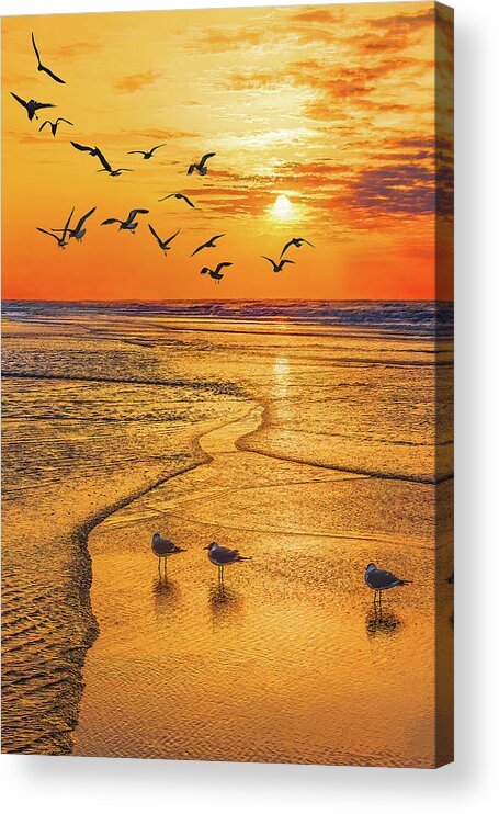 Beach Acrylic Print featuring the photograph Tranquility Base Vertical, South Carolina Sunrise by Don Schimmel