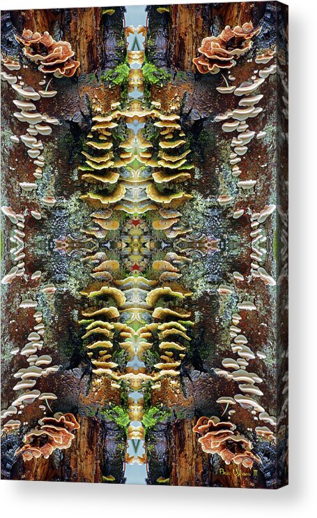 Nature Acrylic Print featuring the photograph Tree Full of Life Double Mirrored Vertical 4x6 by Ben Upham III