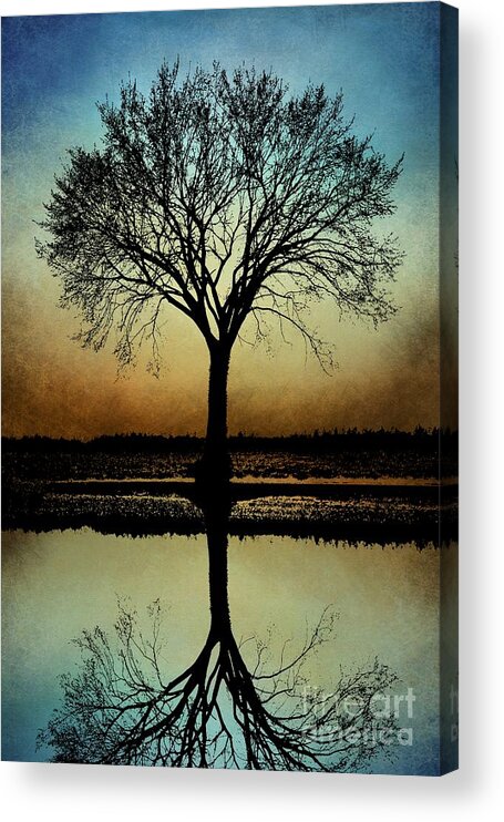 Tree Acrylic Print featuring the digital art Tree Silhouette Design 178 by Lucie Dumas