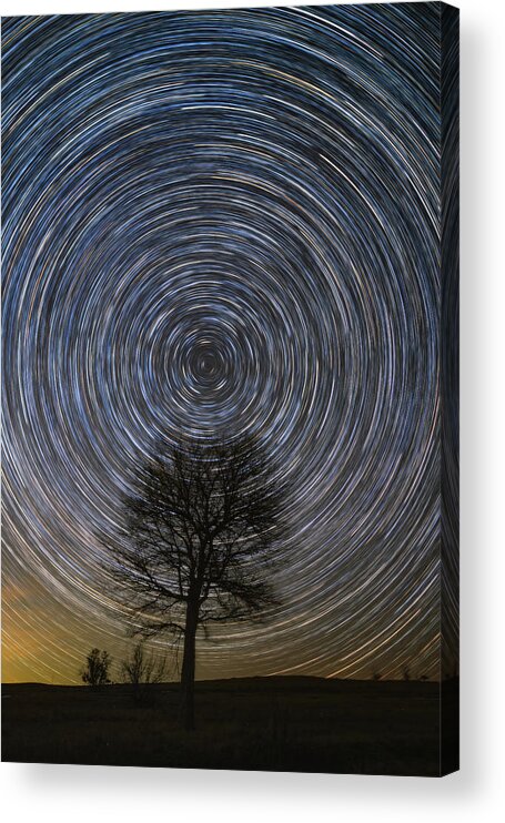 Star Trails Acrylic Print featuring the photograph Tree Topper by Chuck Rasco Photography