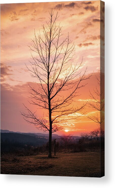 Sunset Acrylic Print featuring the photograph Trexler Nature Preserve March Sunset Vertical by Jason Fink