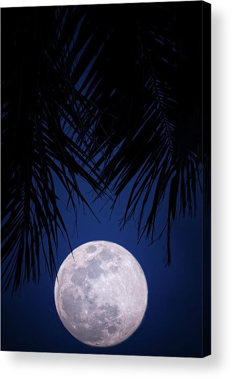 Moon Acrylic Print featuring the photograph Tropical Moonglow by Mark Andrew Thomas