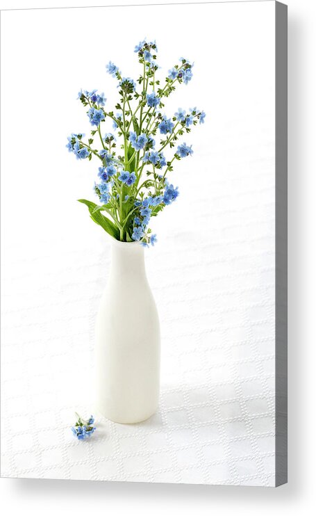 Forget Me Not Acrylic Print featuring the photograph True Love Memories by Patty Colabuono