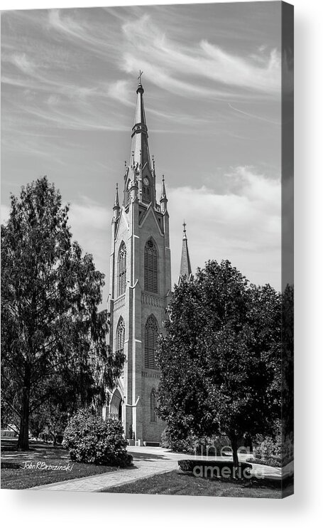 University Of Notre Dame Acrylic Print featuring the photograph University of Notre Dame Basilica of the Sacred Heart by University Icons