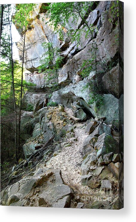 Pogue Creek Canyon Acrylic Print featuring the photograph Unnamed Rock Face 7 by Phil Perkins