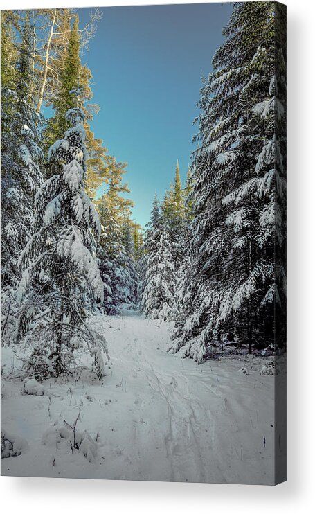 #winter #landscape #photograph #fine Art #door County #wisconsin #midwest #wall Décor #wall Art #hiking #walking #long Exposure #focus Stacking #hdr Photography #adventure #outside #environment #outdoor Lover #snow #ice #cold #snowshoeing # Cross Country Skiing #door County #winter Sports #winter Tourism #evergreens #snow Laden #winter Hike #winter Adventure #nature Preserve #natural Area #afternoon #evening Acrylic Print featuring the photograph Vanishing Path by David Heilman