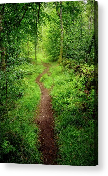 Forest Acrylic Print featuring the photograph Vibrant Green Forest Path by Nicklas Gustafsson
