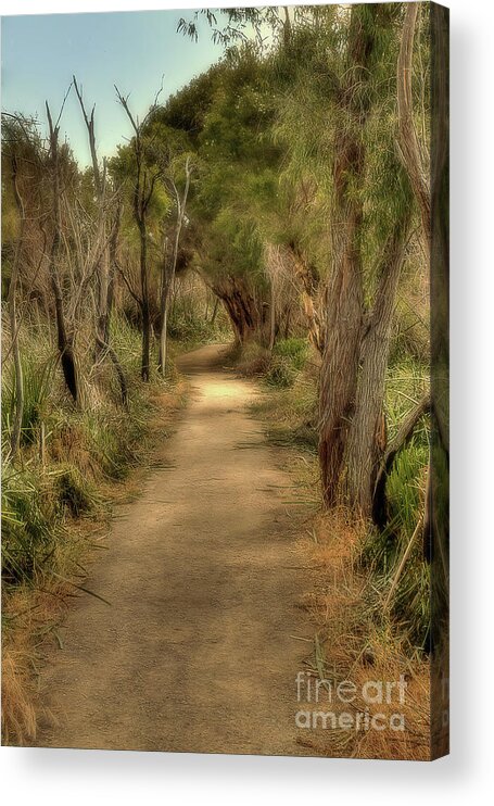 Elaine Teague Acrylic Print featuring the photograph Walkway, Yanchep National Park, Western Australia by Elaine Teague