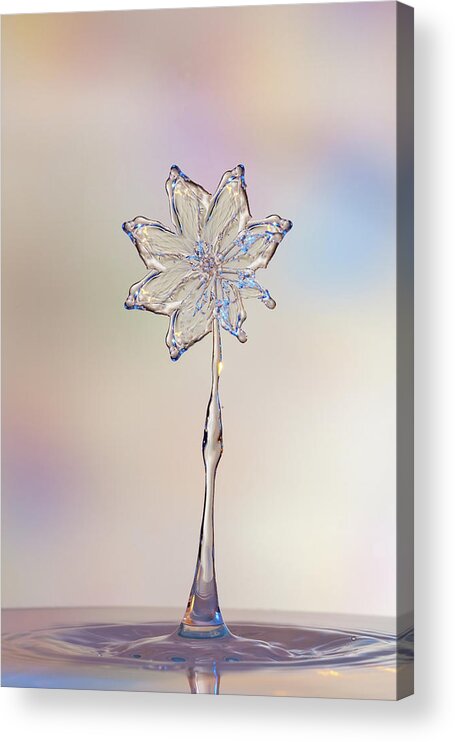 Abstract Acrylic Print featuring the photograph Water Flower by Sue Leonard