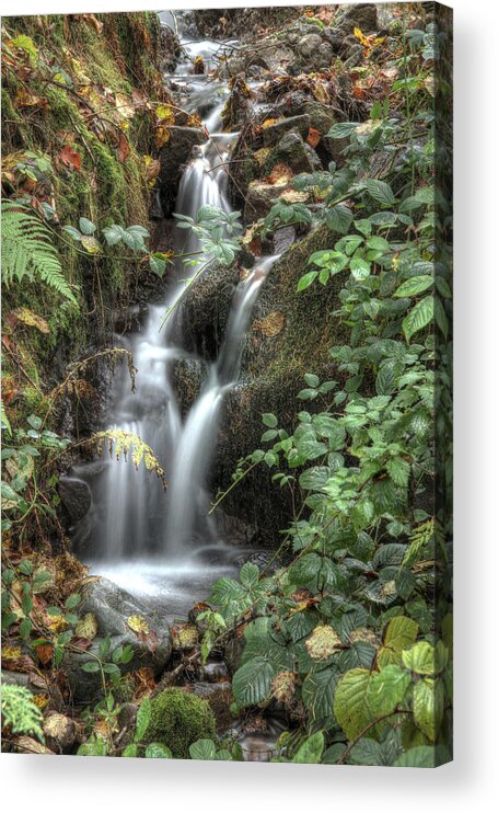 Calm Acrylic Print featuring the photograph Waterfall in a Peacefull Scottosh Forest by Geoff Harrison