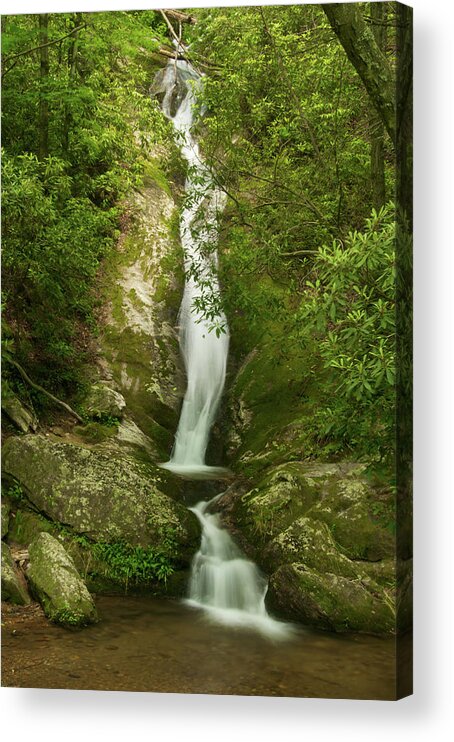 Waterfall Acrylic Print featuring the photograph Waterfall in the Forest by Melissa Southern