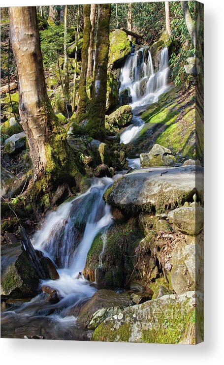 Tennessee Acrylic Print featuring the photograph Waterfall In The Smokies by Phil Perkins