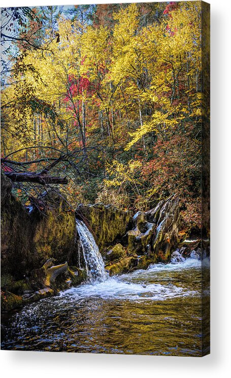 Carolina Acrylic Print featuring the photograph Waterfall in the Smoky Mountains Autumn Colors by Debra and Dave Vanderlaan