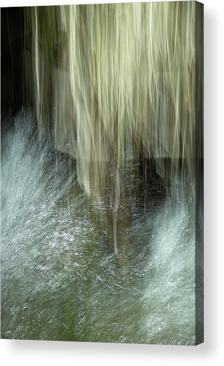 Water Acrylic Print featuring the photograph Weeds And Water by Deborah Hughes