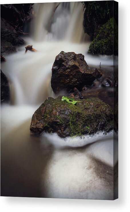 Cardiff Acrylic Print featuring the photograph When in foam by Gavin Lewis