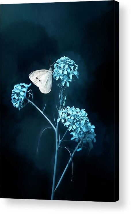Flower Acrylic Print featuring the photograph White Butterfly on Blue Flower by Deborah Penland