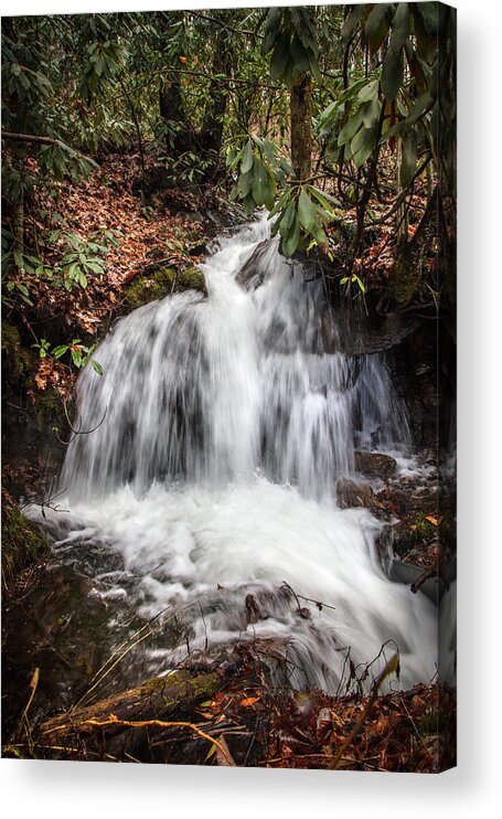 Andrews Acrylic Print featuring the photograph Whitewater Mists in the Forest by Debra and Dave Vanderlaan