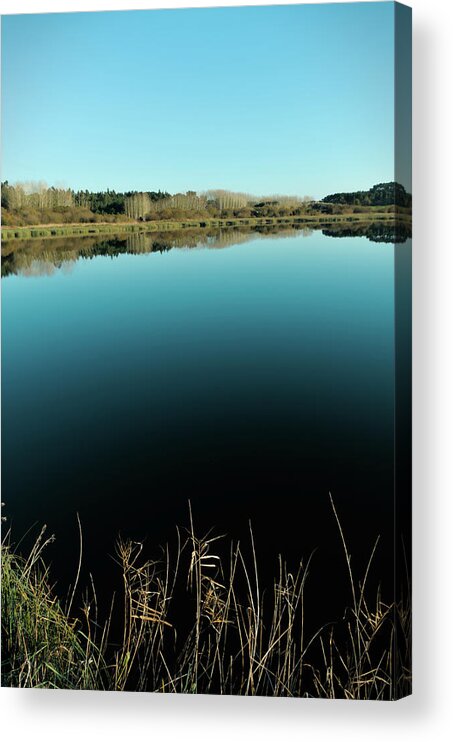 Lake Acrylic Print featuring the photograph Wild Flora in Ervedeira Lake by Angelo DeVal